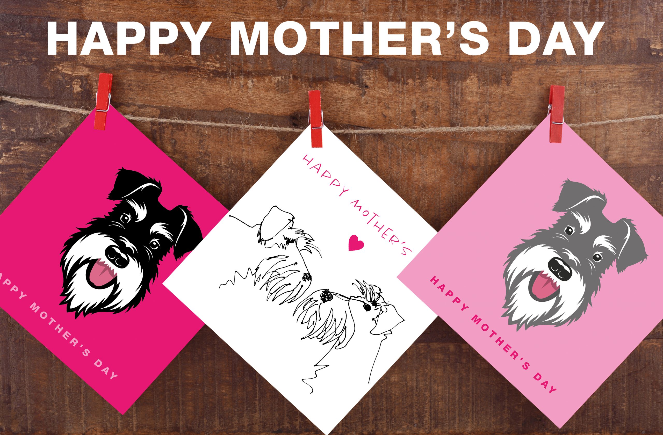 mothers day cards montage on washing line